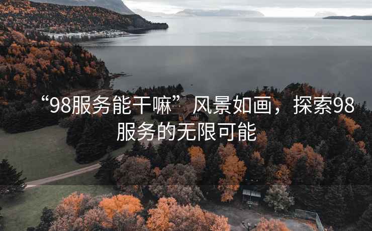 “98服务能干嘛”风景如画，探索98服务的无限可能